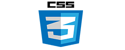 Florida Business Internet Management | Digital Marketing Concepts